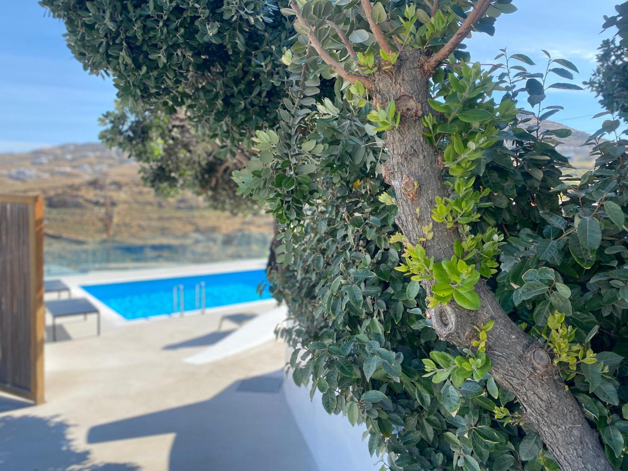 Ftelia Beach Paradise - Villa Irina'S Oasis Exterior foto